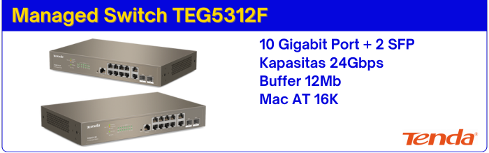 Managed Switch TEG5312F