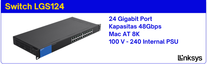 Switch LGS124